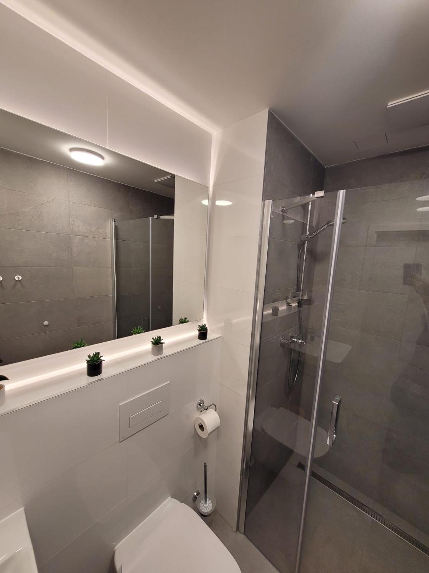 Street Center Apartment Brno