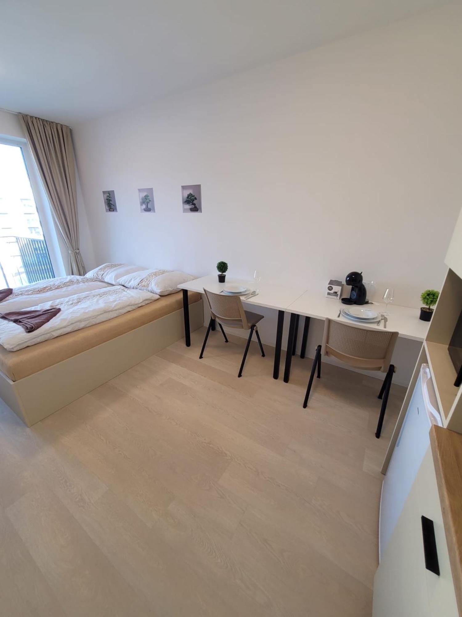 Street Center Apartment Brno