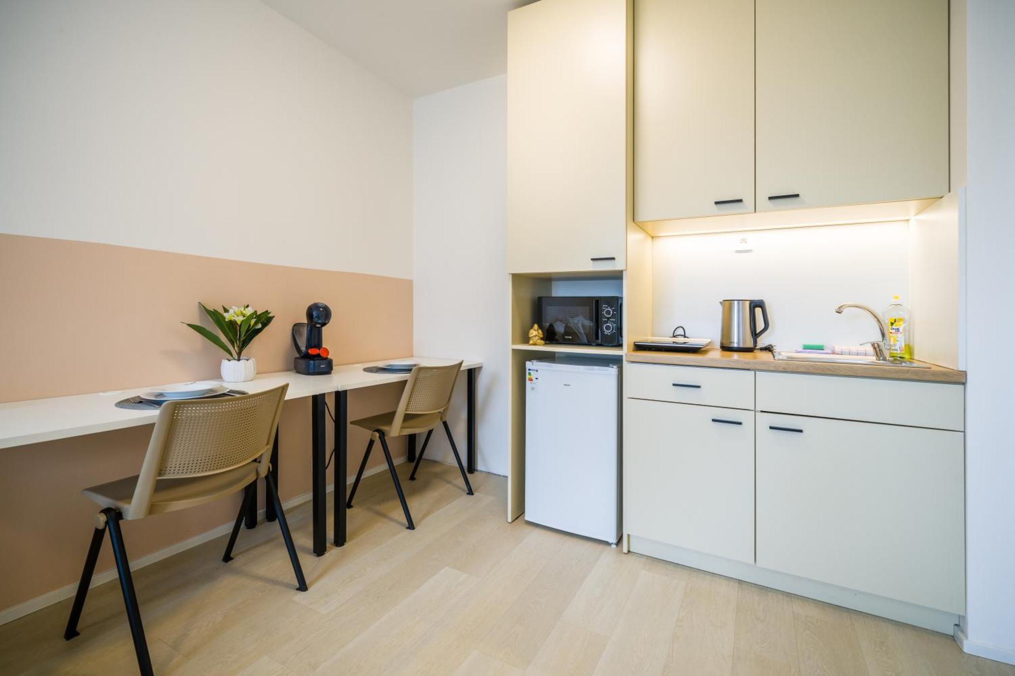 Street Center Apartment Brno