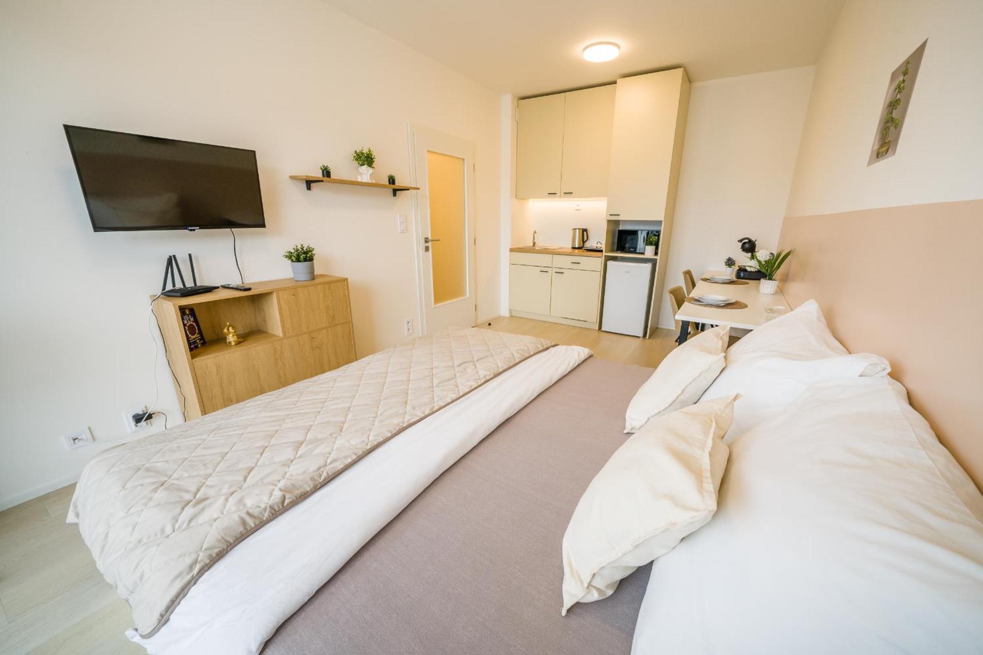 Street Center Apartment